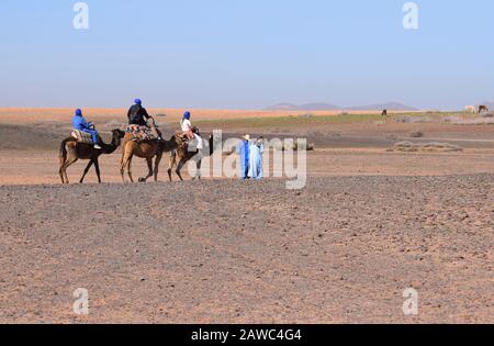 I turisti in un safari in cammello sono guidati da guide berbere in Marocco Nord Africa Foto Stock