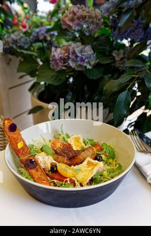 Antipasto colorato di foie gras fritto, formaggio camembert e pane dolce sul patio verde estate Foto Stock