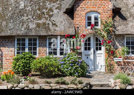 Di fronte a una casa tradizionale con rose rosse a Mogeltonder, Danimarca Foto Stock