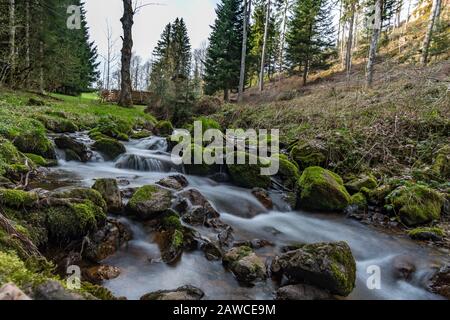 Escursione sul Belchen con una fantastica vista panoramica nella splendida Schonau nella Foresta Nera Foto Stock