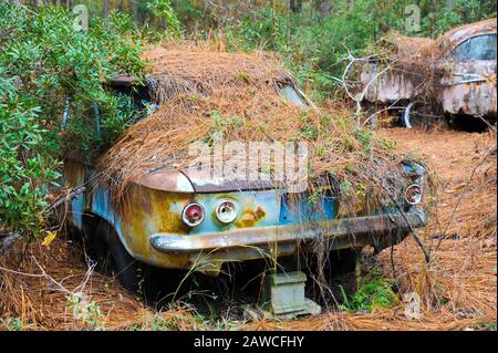 Una vecchia auto arrugginita rottamazione che è stato abbandonato nei boschi Foto Stock