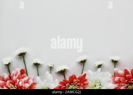 Giorni migliori invitanti. Bella primavera fiori bouquet per saluti isolato su sfondo bianco. Copyspace. Petali e foglie, luminosi, tenera fioritura Foto Stock