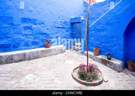 Un cortile con pareti blu, al centro cresce un albero, lungo le pareti un paio di vasi di fiori, una lampada. Foto Stock