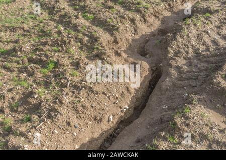 Canale di erosione dell'acqua / canali di lavaggio dell'erosione dell'aneto nel campo arabile del Regno Unito dove la pioggia ha lavato via topsoil. Erosione di acqua di superficie, perdita di suolo, burrone di suolo. Foto Stock