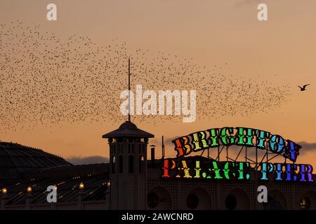 Il molo del palazzo di Brighton e le stelle al tramonto Foto Stock