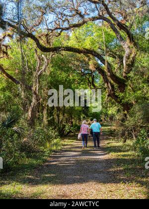 Coppia a piedi sulla Fox's Low Road nel Myakka River state Park a Sarasota Florida Foto Stock