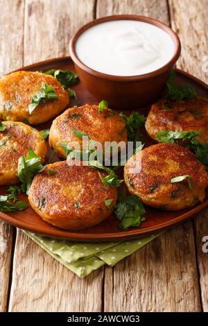 Aloo tikki è uno spuntino popolare in India fatto usando purè di patate da vicino in un piatto sul tavolo. Verticale Foto Stock