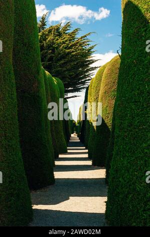 Patagonia, Cile - dicembre 2019 Scene al Cimitero di Punta Arenas Foto Stock