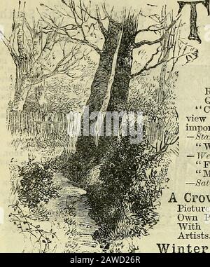 L'Annuario Forfar e il Libro dell'anno 1886 . andmark nei Secoli cristiani. Di Eichaed Heath. Con 81 Illustrazioni.Quarto. 10s. bel panno, dorato. Calcolato immediatamente per dare una vista degli uccelli della liistory e per impressionare i relativi eventi del mostimportant fortemente sulla memoria. - St&ndard. Dimostrerà un libro regalo più accettabile.- WeMern Mommri News. Informazioni complete. John Bull Il Sig. Heath ha assolto bene il liimself. - Sabato Mevieio. Una corona di fiori; Poesie e immagini raccolte dalle pagine della carta GirlsOvrai. A cura di Chakles Petees.With numerose Illustrazioni di eminentArtists. Quarto Foto Stock