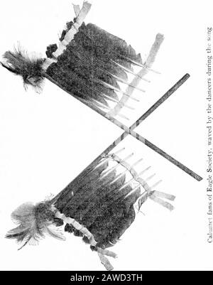 Miti e leggende dello stato di New York Iroquois . 72 NEW YORK STATE MUSEUM Da questa leggenda, gli Iroquois conoscere l'origine Di Je-gi-yah-goh-o-a-noh, la danza degli uccelli, che è stato portato da Jo-wiis dalla terra degli uccelli del cielo, ed è la danza più prominente del Iroquois.IT è celebrato al loro Capodanno, festa, E durante la sua performancei ballerini imitano i movimenti di un uccello, squatting basso e modng La danza degli uccelli m Modorato. Organizzato da Frank B. Converse, Newtown, Caitaraugus Reservation «^ mf It iil r=JE -^- -^-. • nt- « r=* tj =F-^= -^- :£,^i5E5: I* ^ W: :=!= tt CODA. Shout s -t=f:- - Foto Stock