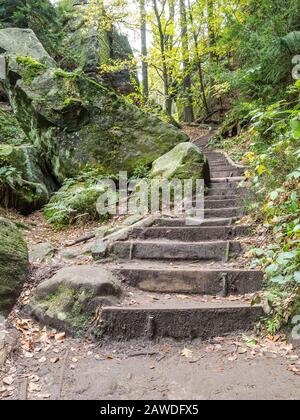 svezia buchi in svizzera sassone Foto Stock