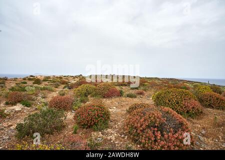 Rovine del forte veneziano sull'isola di Imeri Gramvousa vicino all'isola di Creta, Grecia in estate Foto Stock