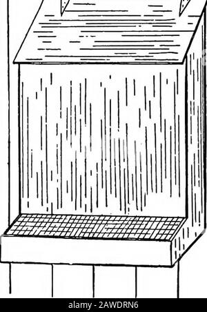 Agricoltura produttiva . ig. 200). Scatole di graniglia.-^Scatole per graniglia, carbone, e gomma lacca di ostriche possono essere fissate alle pareti sopra la lettiera, per l'uso a volte. Bere fontane.-- Questi dovrebbero essere messi un piede sopra il pavimento per i polli cresciuti. Questo aiuta a mantenere l'acqua pulita. Una semplice fontana d'acqua può essere realizzata così:si usa UNA secchio o una lattina o un vasetto senza una cima (Fig. 201). Faccia un buco del chiodo su un lato un-mezzo pollice dalla cima.riempia con acqua pulita. Disponga sopra esso un piatto somethatlarger della bocca del vaso usato. Quindi capovolgere in modo repentinoInverti la foimtain e posizionarla su una scatola bassa nel pou Foto Stock