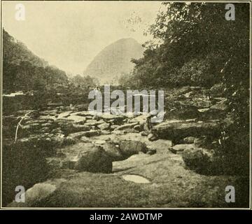 I pesci d'acqua dolce della Guiana britannica, compreso uno studio del raggruppamento ecologico delle specie e del rapporto della fauna dell'altopiano con quello delle pianure. Fig. 17. Ammira il fiume Potaro guardando il torrente nel punto in cui si intravede la prima cascata di Kaieteur. Dopo la prima colazione, ai margini della savana, il Sig. Shideler e io, con Williamand un altro indiano, camminarono fino al bordo del precipizio e alla caduta, mentre i più terest degli indiani continuarono a piazzare il campo e ottenere le barche della Potaroready superiore. Il paesaggio della caduta è unico. Guardando giù la striscia Foto Stock