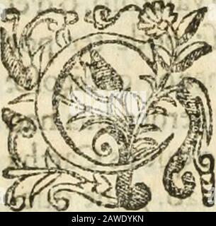 Decada quarta da Asia : dos feitos que os portugueses fizeram na conquista e descobrimento das terras, & Mares do Oriente : em quanto gouernaraõ a India Lopo Vaz de Saõ Payo, & parte de Nuno da Cunha . ,aôde auiaõ de ficai* os Galeões:^tíôporto ichoLiloaò íernandezo•tafuísque indo diaante hãà nao, qIhediíTe qvie trazia cartas,&pe.dindolho o achou falfo ,pcllo quea-íepi-eza á te chegar o capitãomorqueajiiigou por perdida,&ícvenceonaaiicllcporto, &montmiatudo o que tinha fece milçruiados o capitão deixou Ga icocí, fe ôc, Mafelle paíTouaasifiáuiosde,   ôc nclles foi a0rmuz onde inue Foto Stock