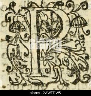 Decada quarta da Asia : dos feitos que os portugueses fizeram na conquista e descobrimento das terras, & Mares do Oriente : em quanto gouernaraõ a India Lopo Vaz de Saõ Payo, & parte de Nuno da Cunha . j ^?^ FTT-? ÇliTJ. ojíomisiio^ íi -a ?/*go vií}o5, &,faíráo duas aítr.adia^§§. MO&^3i porqnão jfcdcterminaírão íêrsPóriífguçjÍês, ou Cafíelhanos,nãofèoufarãoa chegar; domíorge lhes mandou capear, com bí^ue hua das almadias fe arifconv& chegou, abortdo 7 dó lorgc.ttid mandou AIAP Foto Stock