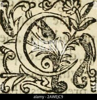 Decada quarta da Asia : dos feitos que os portugueses fizeram na conquista e descobrimento das terras, & Mares do Oriente : em quanto gouernaraõ a India Lobo Vaz de Saõ Payo, & parte de Nuno da Cunha . ro Maícarenhasfoi logo entregue a Simão de MeUlopcraolcuaraCananor. SimãoCaeiro, & Lácarote de Seixas quecom cHcviiihaõ^toraó leuados ao Oíii porreguro;& ototnes C: afloíègaião com o medo do do caftigo. ;c j-o« 0£n âup iò , il p. £i5q í-ítiq sb í)o que Cbriftonão Jr Svíffacãpftfmde•: (^haulc/cretteo a Loo l^a^^íle Jai? ^ayOy febre as cou/as. De Felo Xlafcarenhas: ísr de como chegou a Geã- • prepo Foto Stock