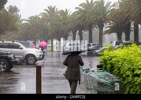 Sydney, Australia. 9th Feb 2020. Heavy Rains battter Sydney, la gente del posto lotta con gli ombrelloni in Avalon Beach Sydney in un giorno umido e tempestoso estati, Australia Credit: Martin berry/Alamy Live News Foto Stock