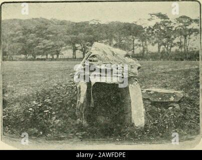 Una guida per Belfast e le contee Di Down & Antrim . URNA DA MOUNTSTEWART CARN.. .N I SI HWAKX CROMLEAC. 50 tonnellate, e riposante su un gruppo di altri nove. Qui è stato trovato urnshave. Era in un tempo circondato da un cerchio di pietre. Numerosi altri esempi riguardano il distretto. F, J. B. ANTIQIITICI. Foto Stock