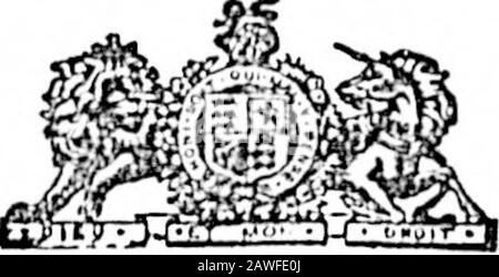 Colonist Quotidiano (1894-05-11). Stiirr. TUPPLBMBNTAKY TO LIST NO.i (NUORIKD NOME-.) Alexauder, Frederick; Allsnp, AAlllllani;.Anderson, D.avld; Anderson, AV.ilium; , An-CAN, AVilllaii; Andeans. Henry; Ainlersoii, Ailllaiii 11.; Argilc Francis; Ayliwiu-D, Thomas. (Iaie, Toseph Henry Mills; Borclny, Goo.; B:irlltt, John; Beckwith, Herbert; Bell, AVlliam; Beaveii, il:omus; Alexan-der nero: Iloiver, John; Brooks, Avlliam Henry;Brown. Arthur George- Brillu, George A.;Breiuian, Henry L.; Brieu, AAilllain F.;Biirrowes, Gilbert J, (laiieroii, Alexander; Cameron, Daniel;Campbell, .AleKiiniler; Ganum, Foto Stock