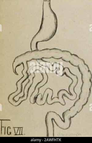 Il procedimento del Connecticut State Medical Society .. . Foto Stock