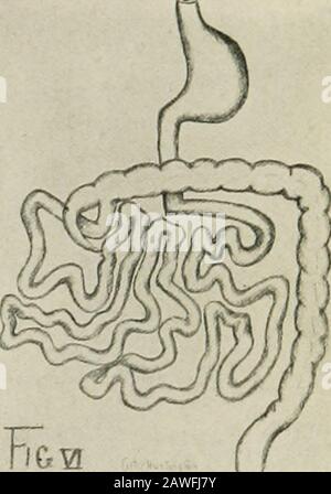 Il procedimento del Connecticut State Medical Society .. . Foto Stock