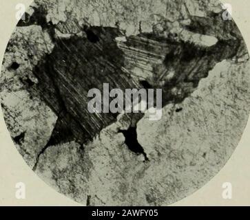 Rapporto annuale. O 350,53 dollari per 38 Dipartimento delle miniere No. 4 tonnellate sono stati spediti. Dopo essere stato smistato a mano, il minerale rimanente è stato trattato in un mulino a timbro a5 per amalgamazione, con un recupero del 55 per cento. I residui di questo trattamento sono stati sequestrati, e successivamente trattati nel nuovo cianuro di 100 tonnellate plantin operazione nel marzo 1915. Le operazioni del piccolo frantoio possono essere giudicate dalla dichiarazione che durante il 1914 ci sono stati trattati 3.493 tonnellate di orecon un valore di testa di 23,35 dollari per tonnellata per un recupero di 43,053,84 dollari. Il minerale della miniera, nel 1914, aveva un valore medio di 41,18 dollari per tonnellata. Le vene Foto Stock