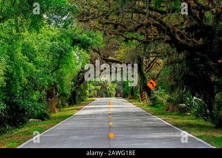 Una strada a baldacchino in Florida Foto Stock