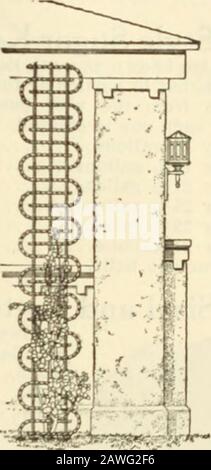 Catalogo annuale : 1916 macchine, fertilizzanti, sementi, ecc . Singolo Trellis Solo la cosa per l'arrampicata piante e fiori. Taglio toany lunghezza per adattarsi a qualsiasi portico, rendendo più bello inexpellen-sive traliccio di vite. Arredate in due larghezze. Prezzo per piede lineare, 18 pollici 5c; 24 pollici, 6c; Tela Metallica per Schermi Foto Stock