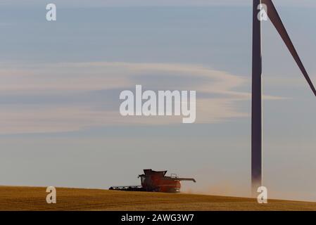 Una mietitrebbia che raccoglie l'avena intorno alla base di una turbina eolica vicino Jamestown South Australia Foto Stock