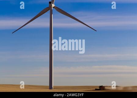 Una mietitrebbia che raccoglie l'avena intorno alla base di una turbina eolica vicino Jamestown South Australia Foto Stock