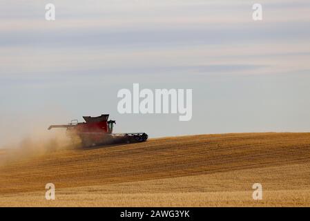 Una mietitrebbia che raccoglie l'avena intorno alla base di una turbina eolica vicino Jamestown South Australia Foto Stock