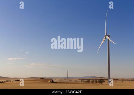 Una mietitrebbia che raccoglie l'avena intorno alla base di una turbina eolica vicino Jamestown South Australia Foto Stock