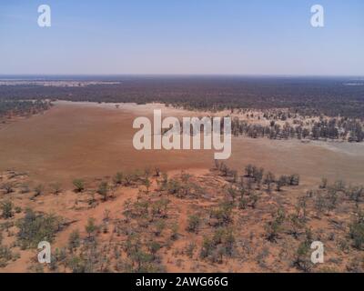 Antenna di vegetazione autoctona per l'agricoltura lungo le rive del fiume Barwon vicino a Collarenebri nuovo Galles del Sud Australia Foto Stock