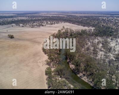 Antenna di vegetazione autoctona per l'agricoltura lungo le rive del fiume Barwon vicino a Collarenebri nuovo Galles del Sud Australia Foto Stock