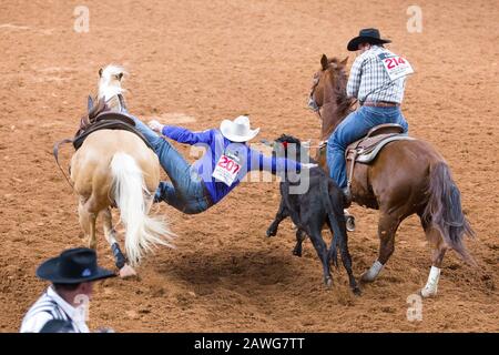 Pechino, Stati Uniti. 7th Feb, 2020. Cowboys sono visti nel rodeo concorso a Fort Worth Stock Show e Rodeo a Fort Worth, Texas, Stati Uniti, il 7 febbraio 2020. Il Fort Worth Stock Show e Rodeo 2020 vanno dal 17 gennaio all'8 febbraio. Una media di oltre 900.000 persone visitano il Fort Worth Stock Show e il Rodeo ogni anno. Credito: Dan Tian/Xinhua/Alamy Live News Foto Stock