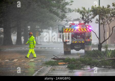 Palm Beach, Sydney, 9th Febbraio 2020. Pioggia pesante e venti forti portano giù gli alberi attraverso Sydney, brigata locale del fuoco che raduna l'albero caduto.,accreditamento dell'Australia :frutti di bosco di martin/Alamy notizie dal vivo. Foto Stock