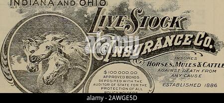 Allevatore e sportivo. Assicurati Il tuo Live Stock INDIANA E OHIO. ^^5^ dollari IOO 000.00 OBBLIGAZIONI APPROVATE DEPOSITATE PRESSO IL REVISORE DEI CONTI DI STATO PER la protezione della TM DI TUTTI I CONTRAENTI Horses.Mvles Un Bestiame GAJNSTsDEATH DA- ANYCAUS e STABILITO 1886 Agenti di Stato: W. T. CLEVERDON, 350 Sansome St., San Francisco.J. Ed VAN CAMP, Germain Bldg., Los Angeles. La più grande E OLDESTSTOCK SOCIETÀ Ha Versato capitale 200,000Asset 450.000 dollari. Nessuna Valutazione. Le parti responsabili con buone agenzie di opportunità commerciali si applicano agli StateAgents. HEALDSBUSINESSCOLLEGE si allena per le imprese e pone i propri laureati in posizioni. Chiamata Foto Stock