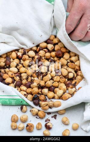 Corylus avellana. Pulizia delle pelli di nocciole tostate con un asciugamano. Produzione di cioccolato vegano alla nocciola spalmato in casa Foto Stock