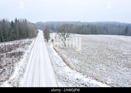 strada di campagna tra alberi e campi agricoli coperti di neve. paesaggio nebbioso. vista aerea Foto Stock