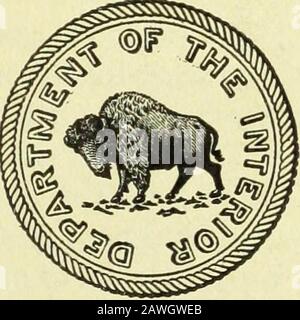 Risorse minerali degli Stati Uniti, 1917--Parte i--Metalli . daemon Colteg* l*™Governo PabUcaWn* WASHINGTON PUBBLICA STAMPA contenuti OFFICE1921. [Le date di pubblicazione dei capitoli separati sono date tra parentesi.] Page.The limiti economici all'indipendenza domestica nei minerali, da George Otis Smith (Dec 28, 1918) 1a controllo internazionale dei minerali, di C. K. Leith (Dec 31, 1918) 7a Produzione Minerale degli Stati Uniti, da H. D. McCaskey e M. B. Clark (28 giugno 1920) 17a nota prefetoria alle relazioni su oro, argento, rame, piombo e zinco, da H. D. McCaskey 77a Bauxite an Foto Stock