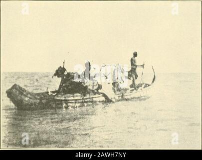 Relazione annuale del Consiglio di Amministrazione dello Smithsonian Institution . Kerri Kerri Granari.. BuDUMA Canoe. IL NIGER AL NILO - ALEXANDER. 389 e circa 3 piedi di larghezza. Vengono inoltre realizzati cajiti più leggeri, per gli inpercorsi in acque poco profonde e per le fughe da attacchi improvvisi. Il 23 dicembre siamo tornati a Kaddai e Talbot lasciò il forEngland. Verso la metà di febbraio 1905, Gosling, dopo la caccia all'elefante vicino alla riva del lago, partì per Kusseri, il nostro prossimo obiettivo, e una settimana dopo abbiamo iniziato con le due barche ancora una volta per provare e finda strada attraverso il lago per lo Shari. Abbiamo preso la direzione di t Foto Stock