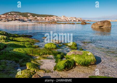 Alghe verdi sulle rocce lungo la spiaggia di l'Ile Rousse nella regione Balagne della Corsica in una giornata di sole brillante Foto Stock