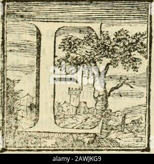 Memorie storiche-crocche della città di Siena, che servono alla vita civile di Pandolfo Petrucci . s era procacciato, e privato d appoggiftranieri , pensò-, andando , unirli con Clemente, racconto più grande unione divenuto gagliardo , a difpetto degliemuli j e degli indiovifi , flabilirfi nel no . FABIOO le clrcodanze del Breve Pontificio, e tutte 1 altre par-tcolarità qui nella Storia riferite le deferite il Bardi , ealtri Auori contemporanei . Francefco fu Figliuolo di Camillo di Bartalomeo Petruc-cl , e di Caterina Bellarmati , fposò nel 1512. Caterina Pic-colomini del Mandole , ed ebbe per Fi Foto Stock