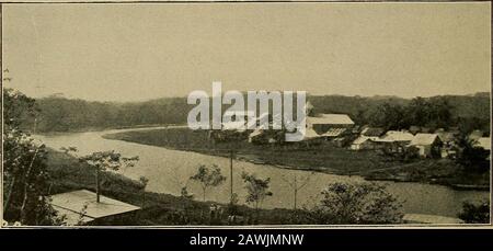 Con Speaker Cannon attraverso i tropici : una storia descrittiva di un viaggio nelle Indie Occidentali, Venezuela e Panama: Contenendo le viste del presidente sui nostri possessi coloniali. Dal francese è stato dismaniaciato e arrugginito, e molto di esso, come vedrete alongthe linea della ferrovia, è stato gettato sopra nei fossati per becovered dalla terra, perché quello era il senso più facile disposedof esso. Gli edifici che hanno lasciato che erano riparabili agli Americani hanno dovuto essere restaurati e messi in ordine. Noi dobbiamo arrivare qui gli uomini; ci sono verso l'alto di trenta millesimi. Sono stati trainati e trascinati fr Foto Stock