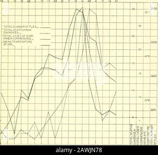 La casa-volare, Musa domestica Linn: La sua struttura, abitudini, sviluppo, relazione con la malattia e il controllo . ance di Flies.Deaths per,-*i Oiarrhcza.Fatal Casi che iniziano. Fig. 99. Grafico che illustra la relazione della numerosa abbondanza di diarrea estiva house-fliesto nella città di Manchester nel 1904. Preparato fromstatistiche e grafico dati da Niven. Temperature a 1 piede e 4 piedi rispettivamente. Da questi datacharts sono costruiti. Ho preparato le Figg. 99 e 100 dalle statistiche e dal grafico dati per gli anni 1904 e 1909. Althoughin Fig. 99 la curva di temperatura è stata omessa, Foto Stock