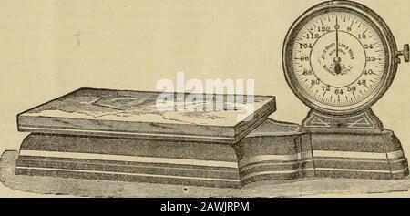 Gleanings nella coltura dell'ape. Weiglitof un articolo che pesa 150 libbre, per il 25 lbs.tare farà un poco sopra quella quantità; Butnaturalmente il puntatore non lo indicherà prontamente poichè fa qualche cosa meno di 128 lbs.La scala non può essere ferita da un over-strain, perché la piattaforma colpisce i cast-ings dopo che è stata caricata doAvn al 150lbs. O i thesaurs che ho accennato. Le divisioni più piccoli sul quadrante sono lbs.; butwith pratica possiamo ottenere anche 2 oz. Prettyaccuratamente, in modo che risponderà per tutti gli scopi pratici per pesare miele. Poichè la wholemachine è soltanto 83 libbre in wei Foto Stock