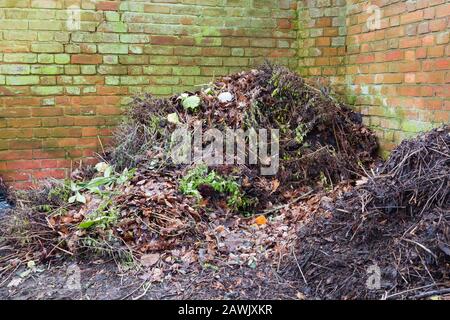 Compost mucchio o palo in un giardino per ridurre in concime organico, Regno Unito Foto Stock