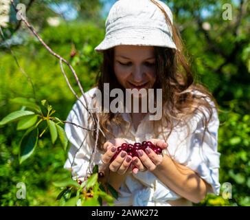 mani che tengono bacche fresche in giorno di natura Foto Stock