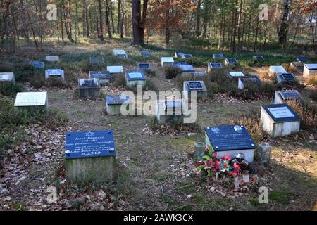 Pietre commemorative, memoriale del campo di concentramento di Bergen-Belsen, Bassa Sassonia, Germania, Europa Foto Stock